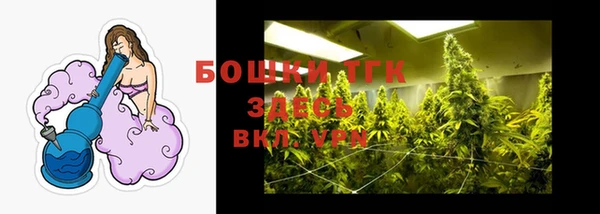 эйфоретик Липки