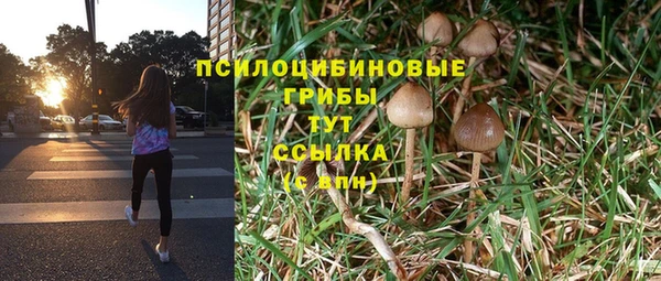 jwh Лиски