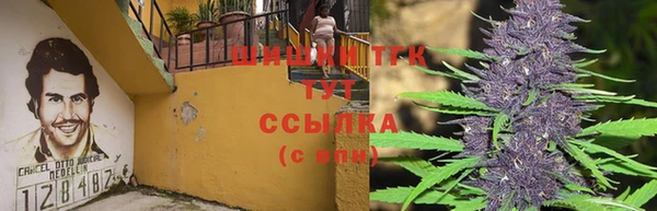 эйфоретик Майский