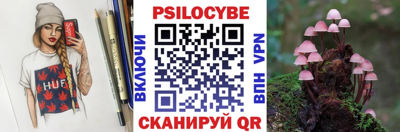 Купить  Химки  Псилоцибиновые грибы MAGIC MUSHROOMS 